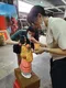 carousel chooser